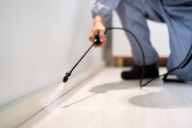Licensed Ant Control service in Oak Hills Place, LA - Nex Pest Control