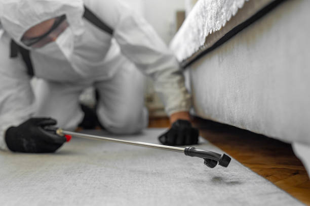 Professional Ant Control technician working in Oak Hills Place, LA