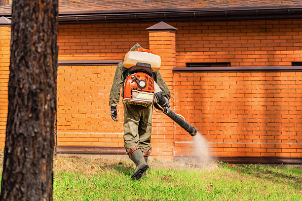 Trusted Emergency Pest Control service in Oak Hills Place, LA - Nex Pest Control